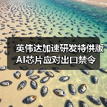英伟达加速研发特供版AI芯片应对出口禁令(图4) 英伟达加速研发特供版AI芯片应对出口禁令(图4)