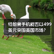 特朗普手机能否以499美元突围美国市场？（图3）