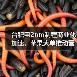 台积电2nm制程商业化加速,苹果大单推动营收增长(图4) 台积电2nm制程商业化加速,苹果大单推动营收增长(图4)
