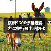 麒麟9600惊艳现身!华为鸿蒙折叠电脑揭秘(图4) 麒麟9600惊艳现身!华为鸿蒙折叠电脑揭秘(图4)