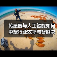 传感器与人工智能如何重塑行业效率与智能决策(图4) 传感器与人工智能如何重塑行业效率与智能决策(图4)
