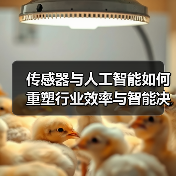 传感器与人工智能如何重塑行业效率与智能决策(图1) 传感器与人工智能如何重塑行业效率与智能决策(图1)