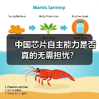 中国芯片自主能力是否真的无需担忧?(图4) 中国芯片自主能力是否真的无需担忧?(图4)