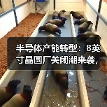 半导体产能转型:8英寸晶圆厂关闭潮来袭,12英寸引领未来(图4) 半导体产能转型:8英寸晶圆厂关闭潮来袭,12英寸引领未来(图4)