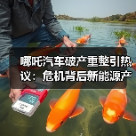 哪吒汽车破产重整引热议:危机背后新能源产业如何自救?(图4) 哪吒汽车破产重整引热议:危机背后新能源产业如何自救?(图4)