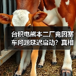 台积电熊本二厂竟因塞车问题延迟启动?真相令人意外(图4) 台积电熊本二厂竟因塞车问题延迟启动?真相令人意外(图4)