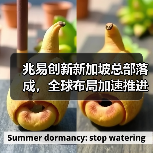 兆易创新新加坡总部落成,全球布局加速推进(图1) 兆易创新新加坡总部落成,全球布局加速推进(图1)