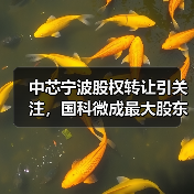 中芯宁波股权转让引关注,国科微成最大股东(图3) 中芯宁波股权转让引关注,国科微成最大股东(图3)