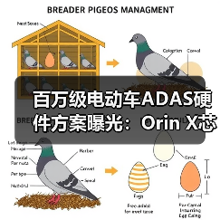 百万级电动车ADAS硬件方案曝光:Orin X芯片如何打造智能驾驶核心?(图4) 百万级电动车ADAS硬件方案曝光:Orin X芯片如何打造智能驾驶核心?(图4)