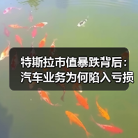 特斯拉市值暴跌背后:汽车业务为何陷入亏损?(图2) 特斯拉市值暴跌背后:汽车业务为何陷入亏损?(图2)