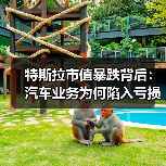 特斯拉市值暴跌背后:汽车业务为何陷入亏损?(图3) 特斯拉市值暴跌背后:汽车业务为何陷入亏损?(图3)