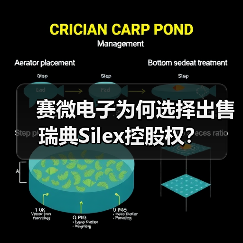 赛微电子为何选择出售瑞典Silex控股权?(图1) 赛微电子为何选择出售瑞典Silex控股权?(图1)