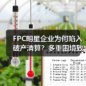 FPC明星企业为何陷入破产清算?多重困境致命运转折(图2) FPC明星企业为何陷入破产清算?多重困境致命运转折(图2)