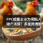 FPC明星企业为何陷入破产清算?多重困境致命运转折(图1) FPC明星企业为何陷入破产清算?多重困境致命运转折(图1)