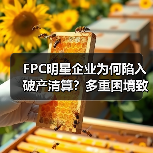 FPC明星企业为何陷入破产清算?多重困境致命运转折(图3) FPC明星企业为何陷入破产清算?多重困境致命运转折(图3)