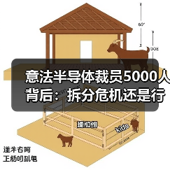 意法半导体裁员5000人背后:拆分危机还是行业寒冬?(图1) 意法半导体裁员5000人背后:拆分危机还是行业寒冬?(图1)
