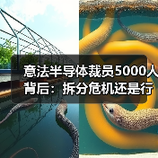 意法半导体裁员5000人背后:拆分危机还是行业寒冬?(图3) 意法半导体裁员5000人背后:拆分危机还是行业寒冬?(图3)