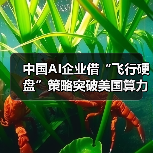 中国AI企业借“飞行硬盘”策略突破美国算力封锁(图1) 中国AI企业借“飞行硬盘”策略突破美国算力封锁(图1)