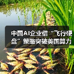 中国AI企业借“飞行硬盘”策略突破美国算力封锁(图4) 中国AI企业借“飞行硬盘”策略突破美国算力封锁(图4)