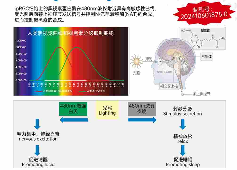 2444b8ac-229f-11f1-90a1-92fbcf53809c.png